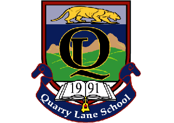 QLS logo